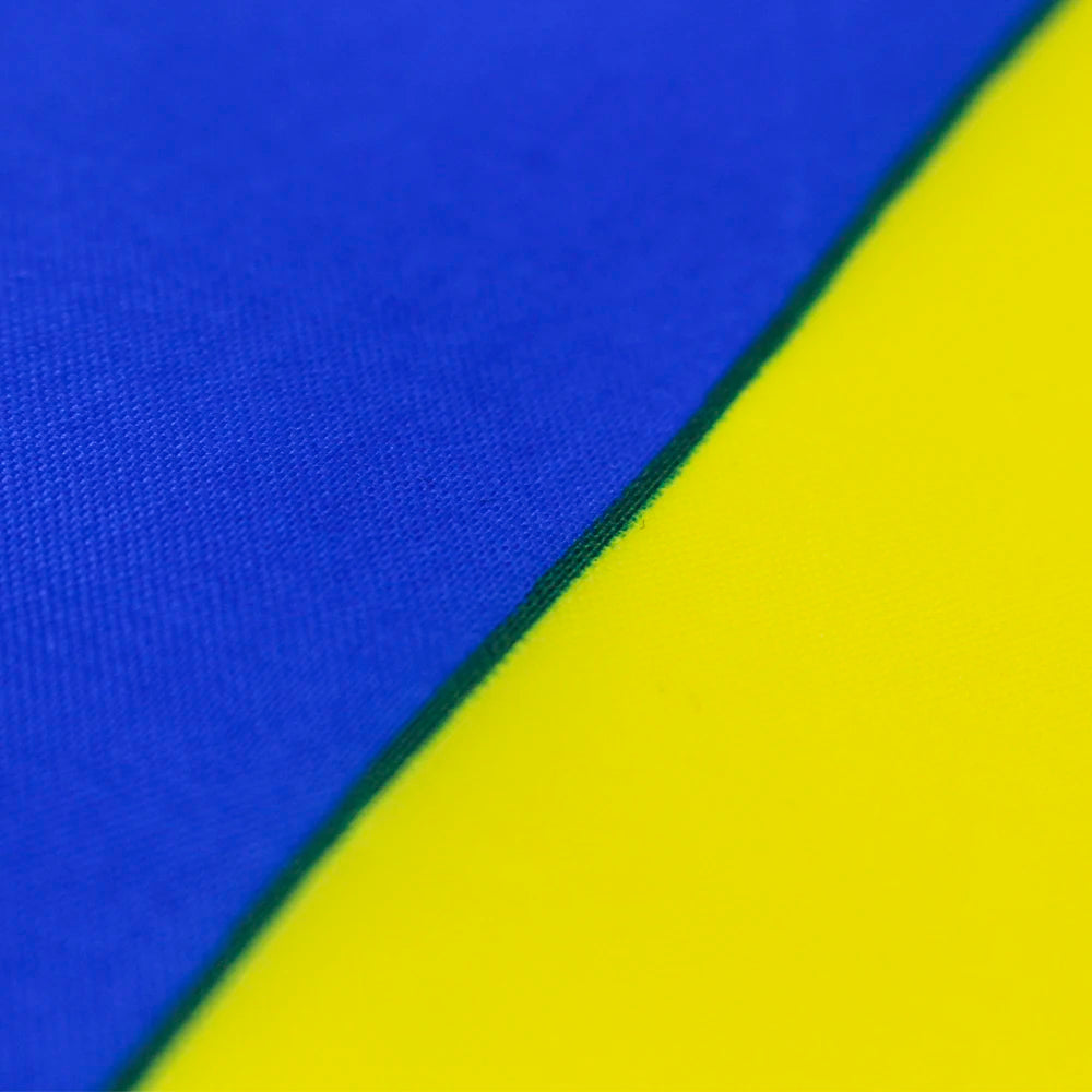 Ukrainian Flag